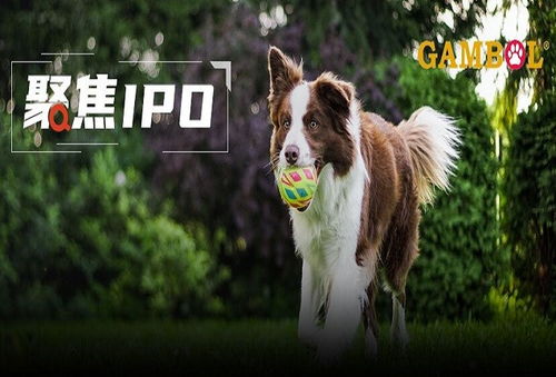 乖寶寵物境外重大訴訟懸而未決，利潤空間受境內(nèi)外雙重?cái)D壓，寵物食品銷售困局待解